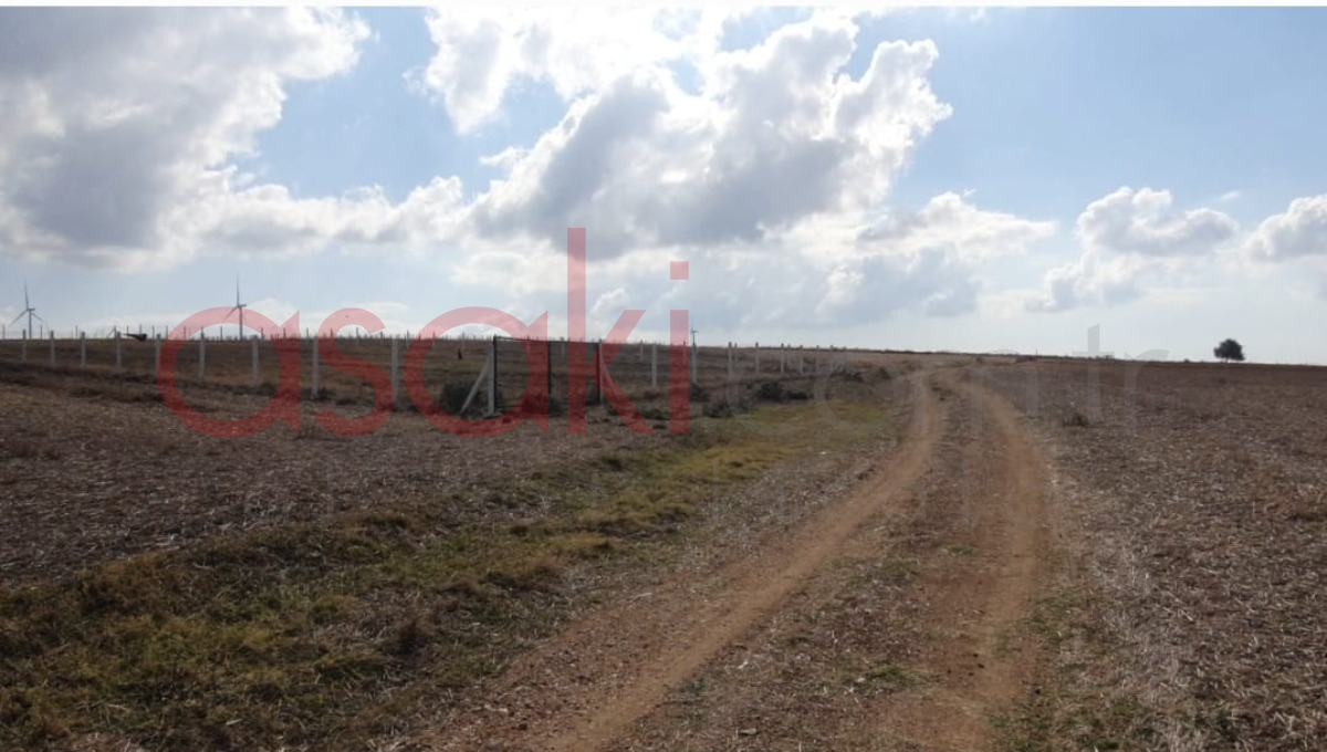 SİLİVRİDE YAŞAMAK G&Uuml;ZELDİR BAĞ BAH&Ccedil;E YAPMAK İ&Ccedil;İN YER ARIYORSANIZ - Büyük 2