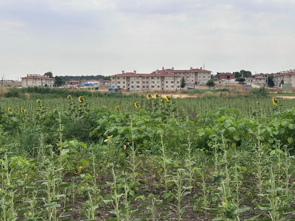 Edirne Uzunköprü İmar Sınırında Araç Takaslı Satılık Tarla