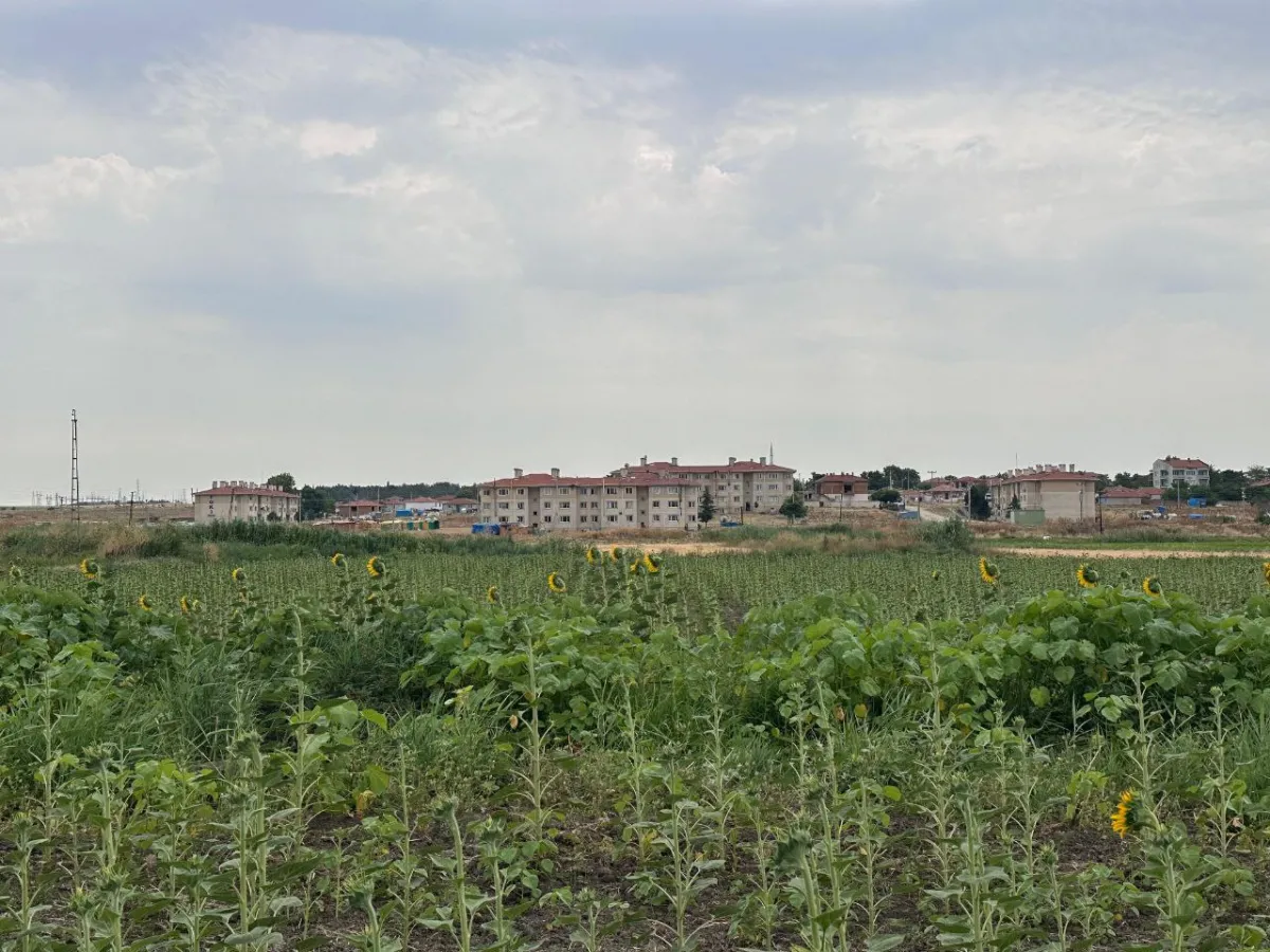 Edirne Uzunköprü İmar Sınırında Araç Takaslı Satılık Tarla - Büyük 2