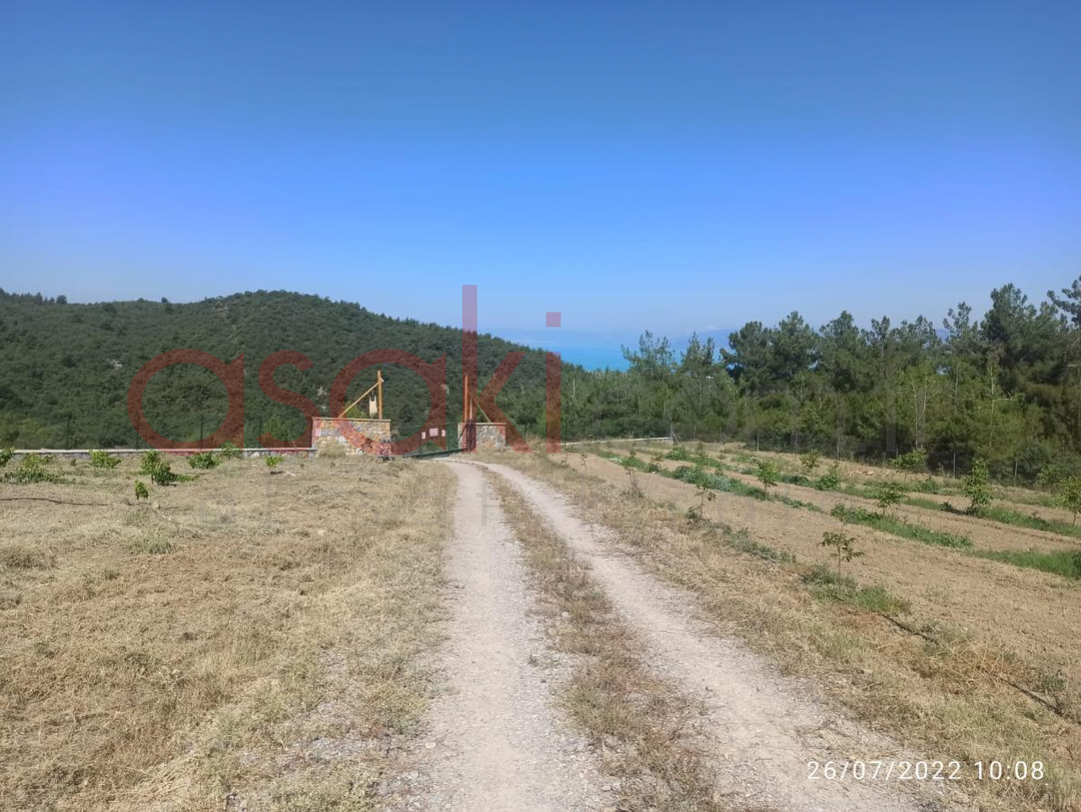 Bursa İznikte 14000 M2 Satılık Tarla + Ev - Büyük 7