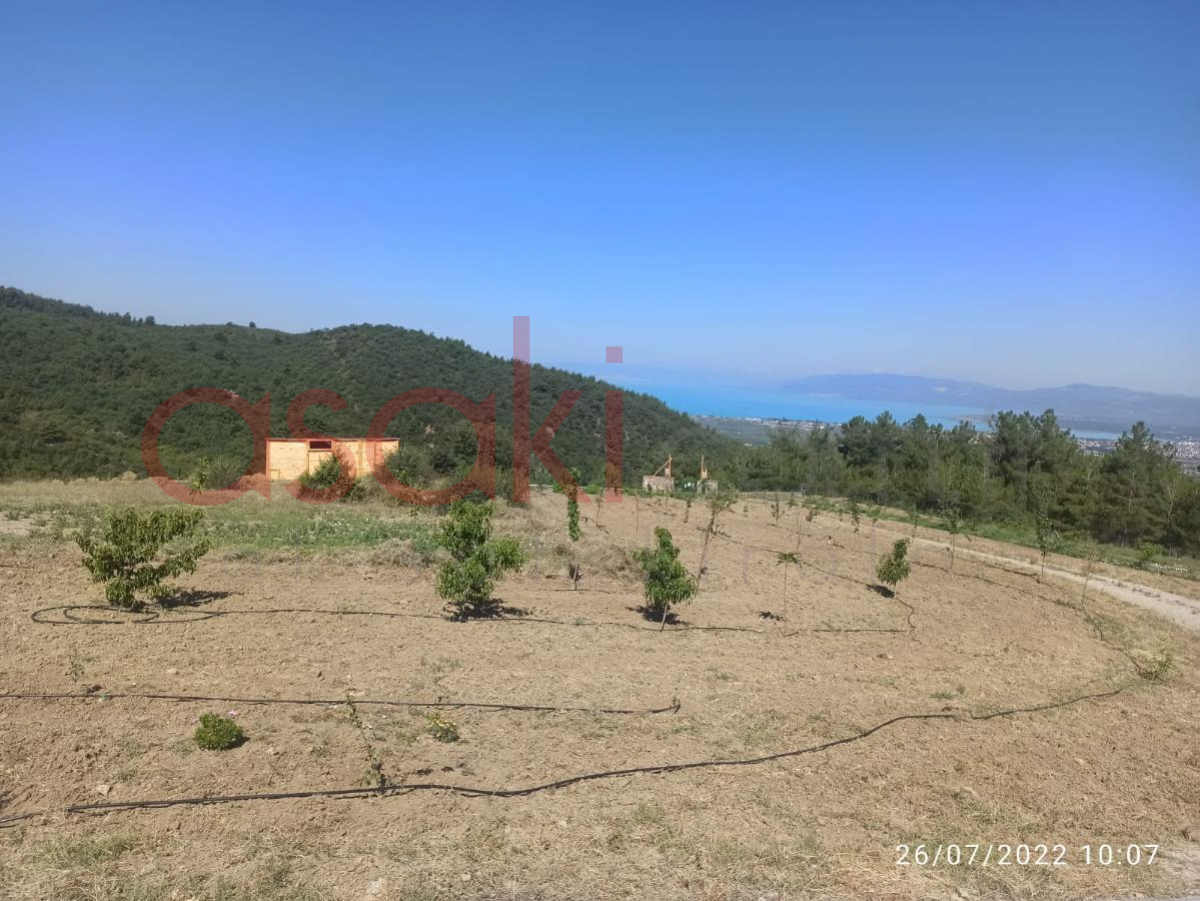 Bursa İznikte 14000 M2 Satılık Tarla + Ev - Büyük 8