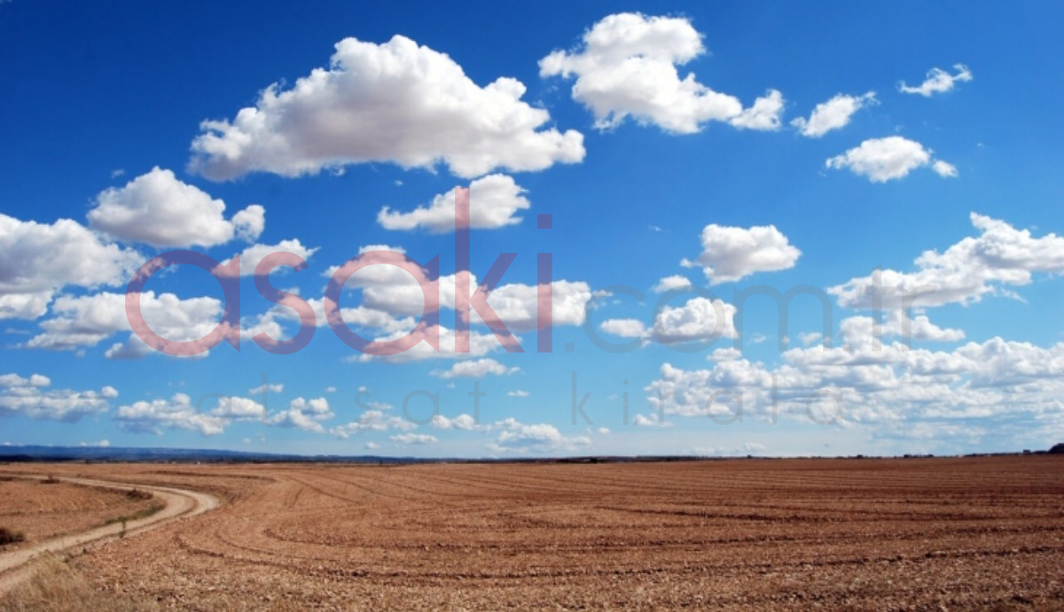 Tekirdağ Ergenede 11.827 m2  Satılık Kupon Tarla