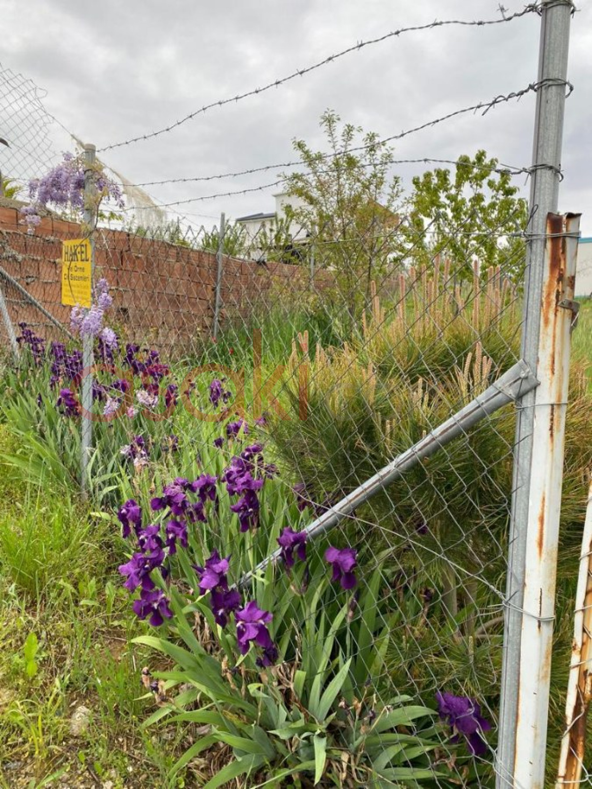 Tekirdağ Süleymanpaşada 597 m2  Satılık  Arsa + Konteyner - Büyük 1