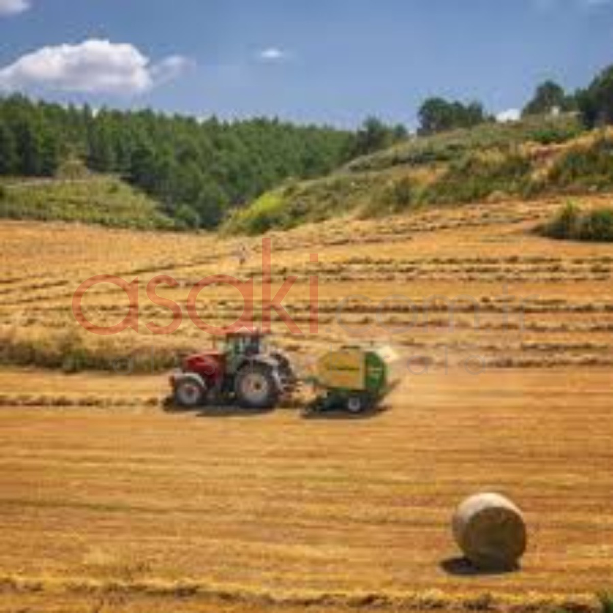 Kapaklı  Karlıda  6880 m² Satılık Tarla - Büyük 0