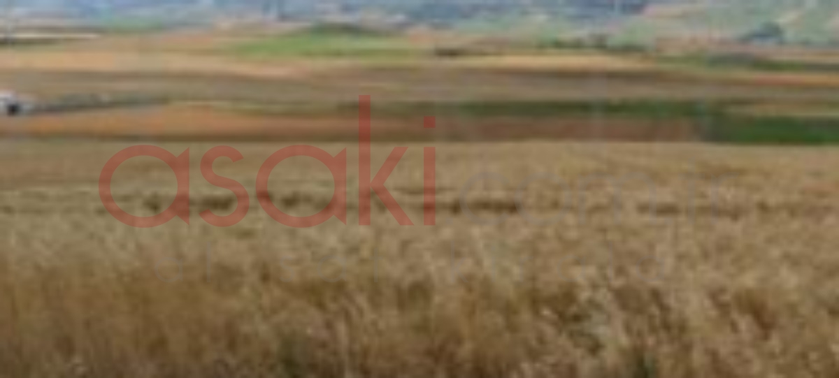 Tekirdağ Küçükkarakarlı Mevkinde 795 M² Satılık Bağ Bahçe Yeri - Büyük 0