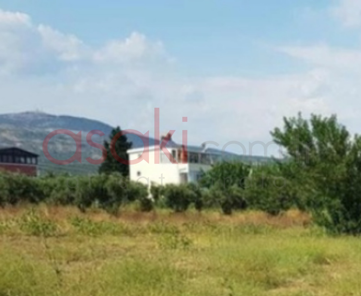 Tekirdağ Yeniköy'de 17.886 M² Satılık Bağ Yeri - Büyük 0