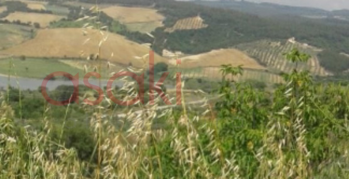 Hoşköy'de Deniz Manzaralı 1.433 M² Satılık Bağ Yeri - Büyük 0