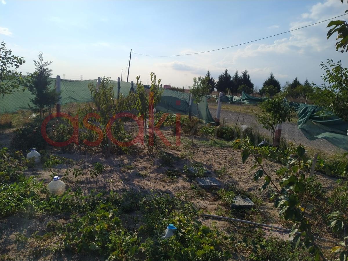 Tekirdağ Kapaklı'da 3.986 M² Satılık Tarla - Büyük 0