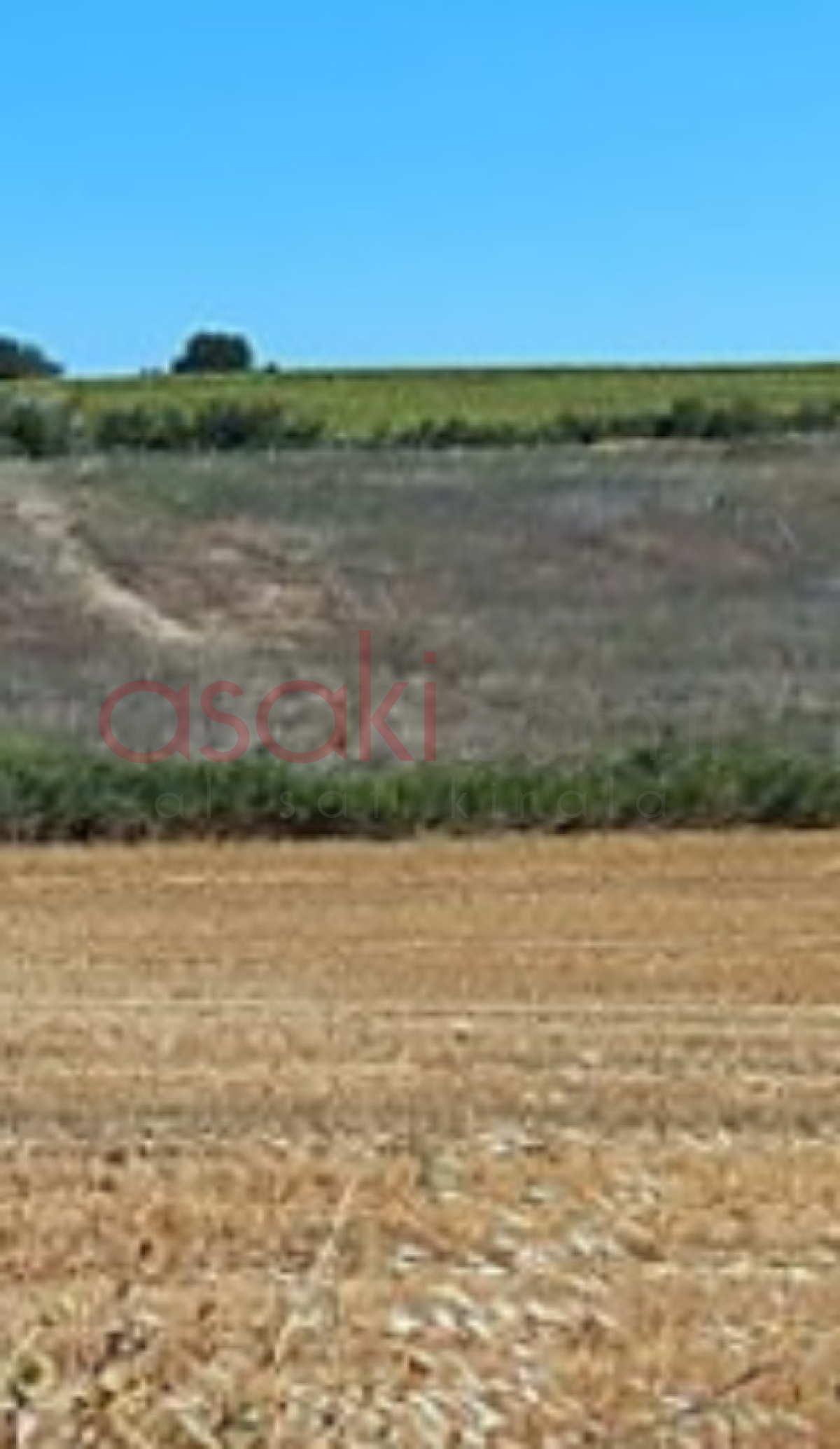 Tekirdağ Saray'da 10.500 M² Satılık Tarla