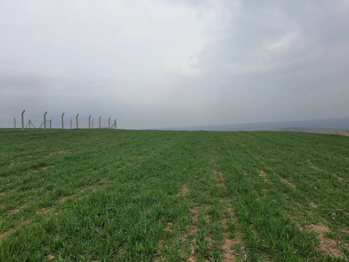 ARSA DENİZİ'NDE ARADIĞINIZI BULACAKSINIZ - Büyük 4