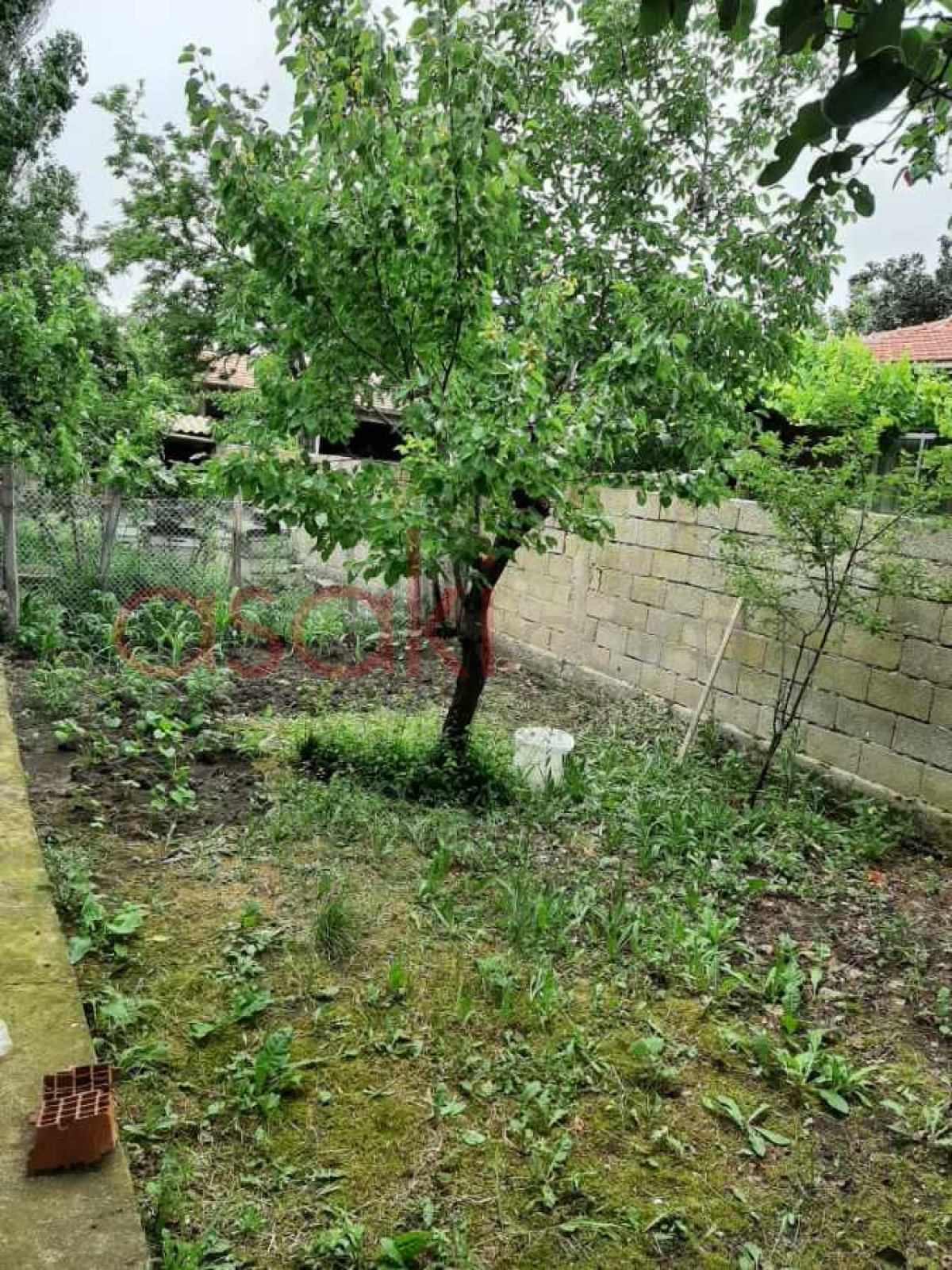 Tekirdağ Muratlıda Satılık Arsa + 2 Konut - Büyük 6