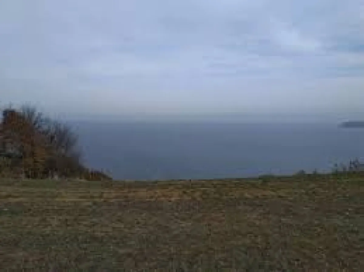 ÇATALCA KALFADA SATILIK TARLA