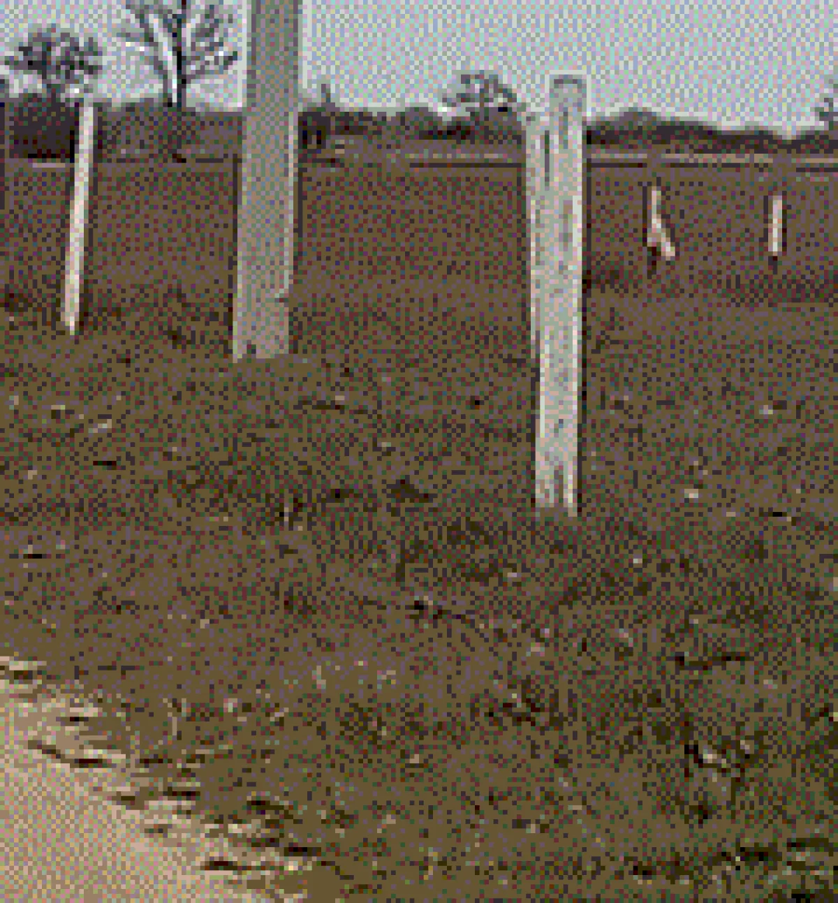 Tekirdağ Kapaklı'da 12.150 M² Satılık Tarla
