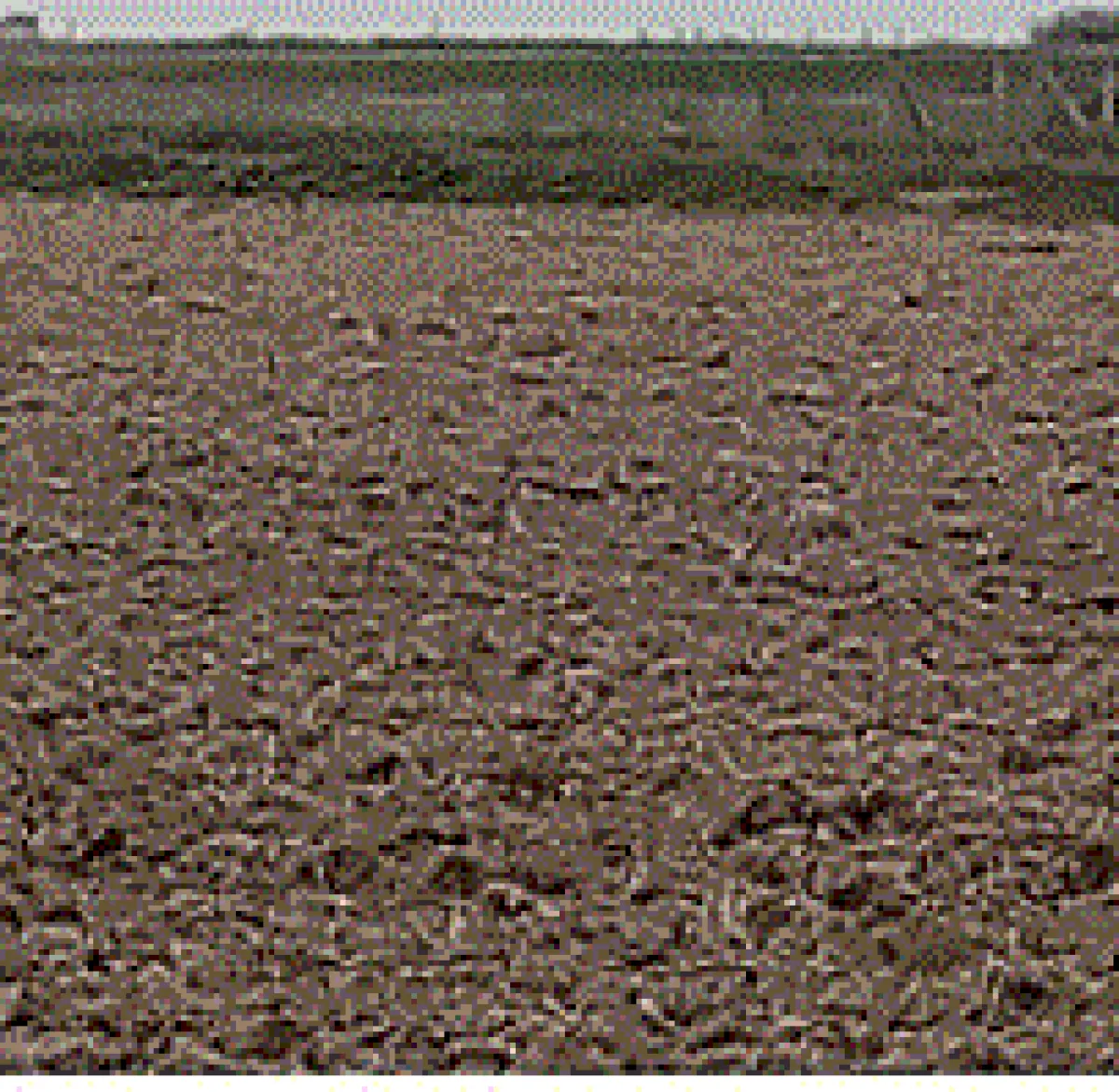 Tekirdağ Kapaklı'da 2.260 M² Satılık Tarla