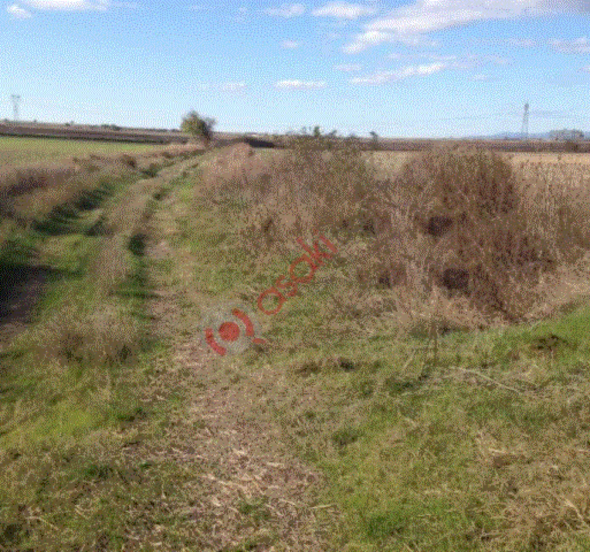Tekirdağ Kapaklı'da 1.360 M² Satılık Tarla