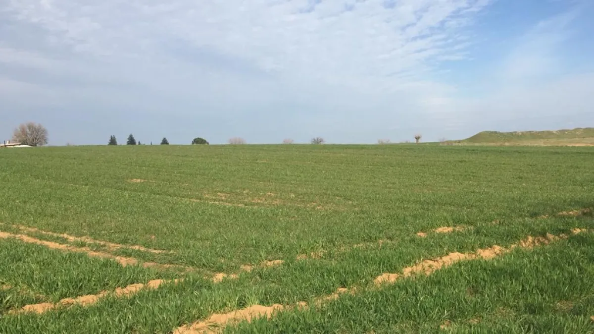 Babaeski'de imarlı müstakil 7132 m2 köy içi satılık arsa - Büyük 1