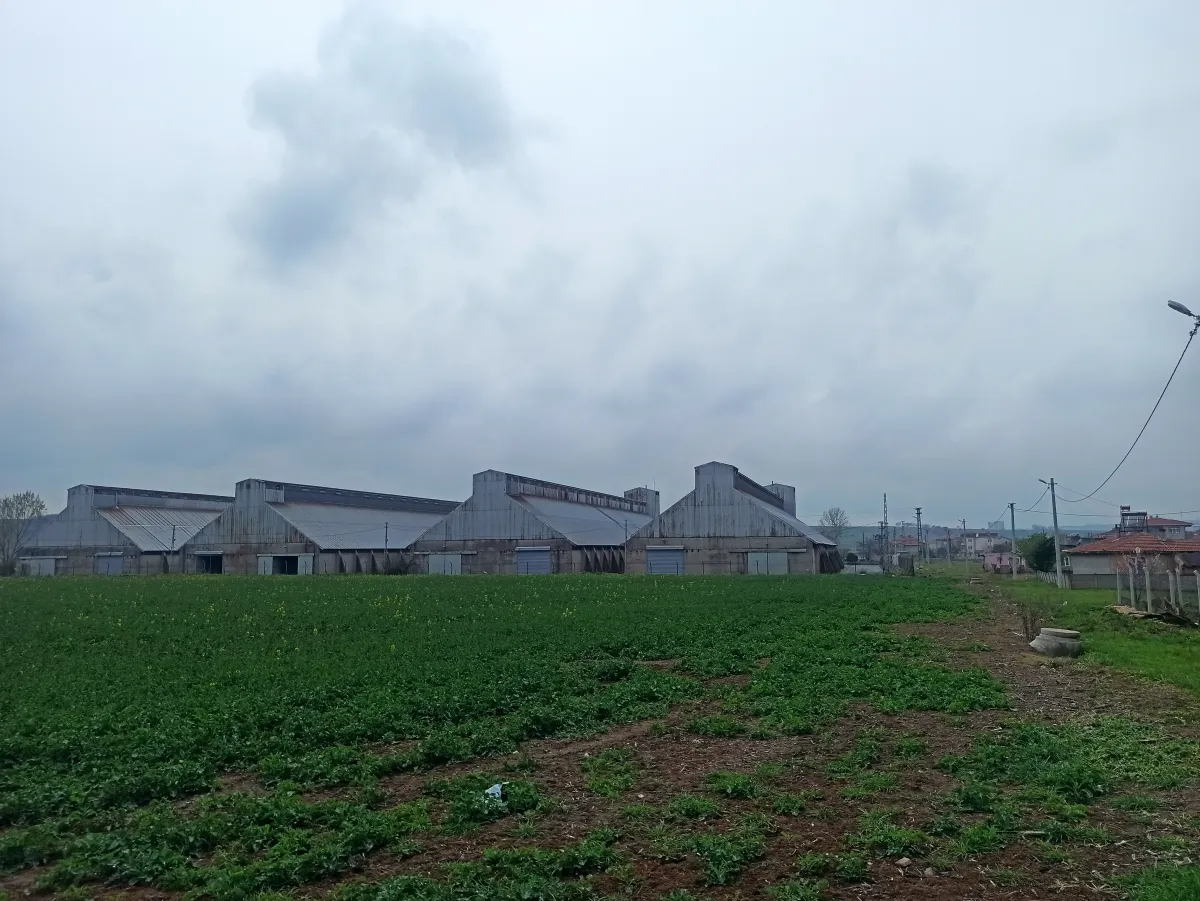 Tekirdağ Muratlı Turan Mahallesinde Satılık Arsa