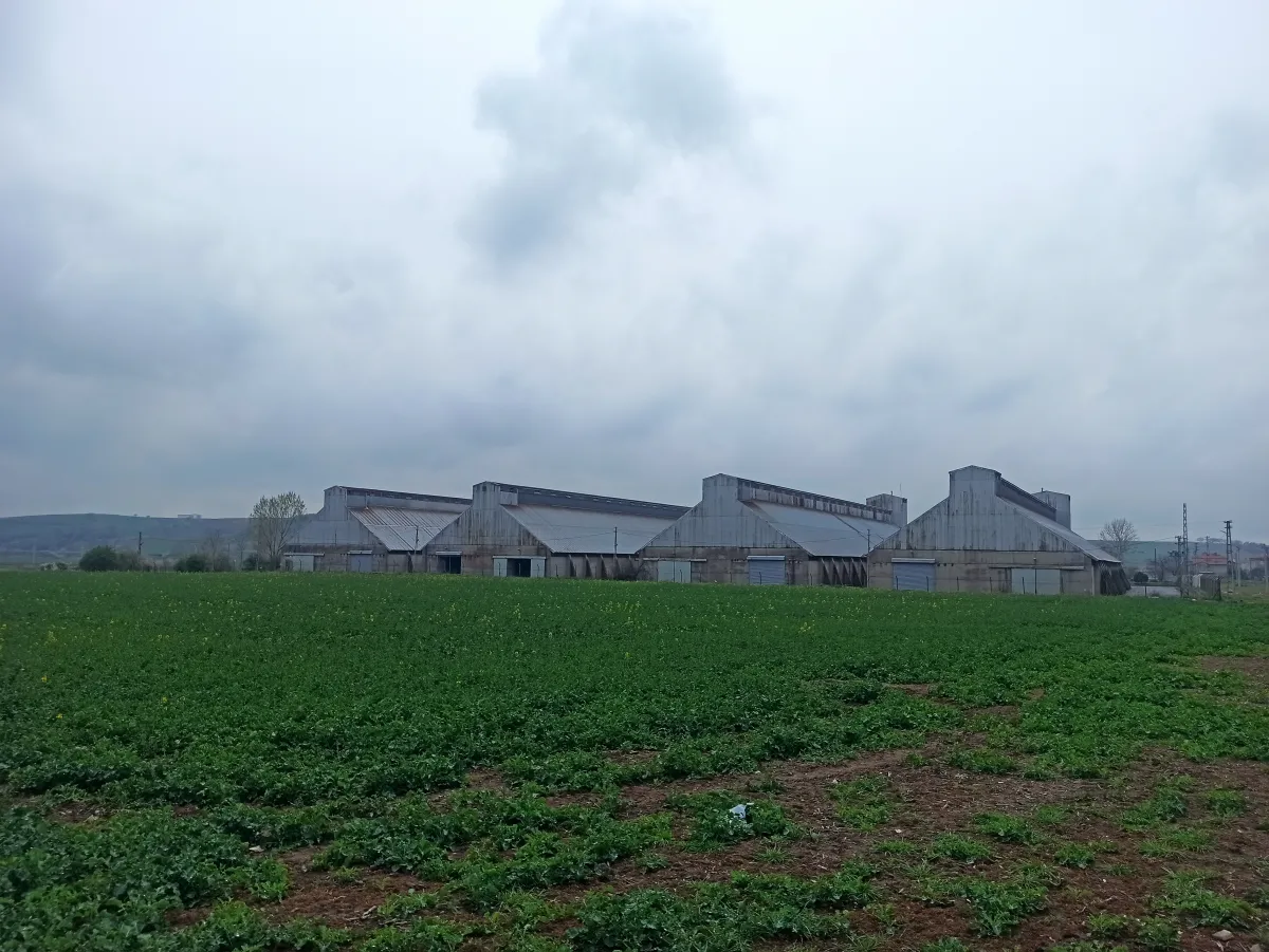Tekirdağ Muratlı Turan Mahallesinde Satılık Arsa - Büyük 1