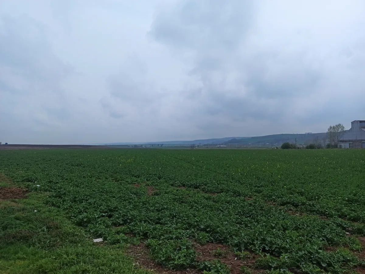 Tekirdağ Muratlı Turan Mahallesinde Satılık Arsa - Büyük 2