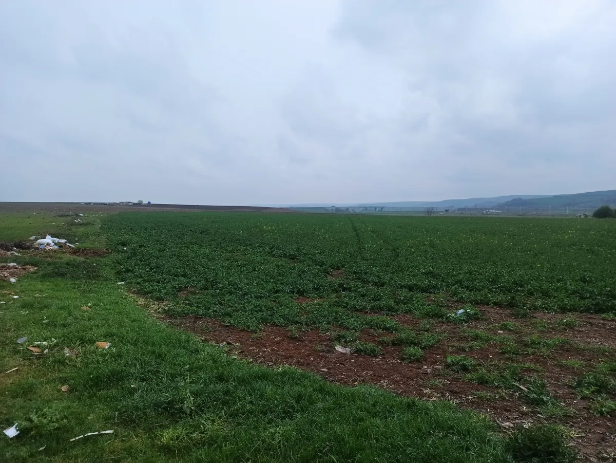 Tekirdağ Muratlı Turan Mahallesinde Satılık Arsa - Büyük 7