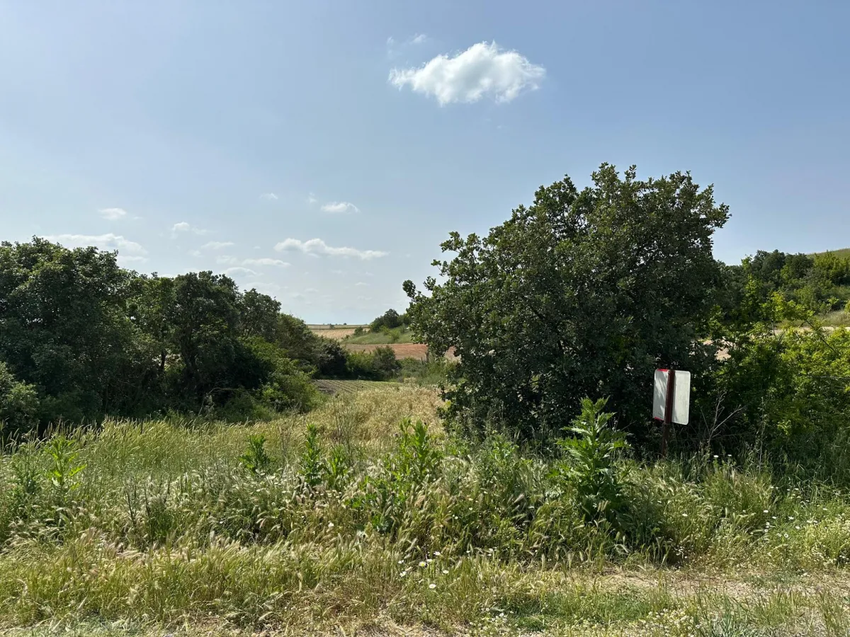 Edirne Uzunk&ouml;pr&uuml; Hasanpınar K&ouml;y&uuml; Asfalt &Uuml;st&uuml; Satılık Tarla 1090 m - Büyük 3