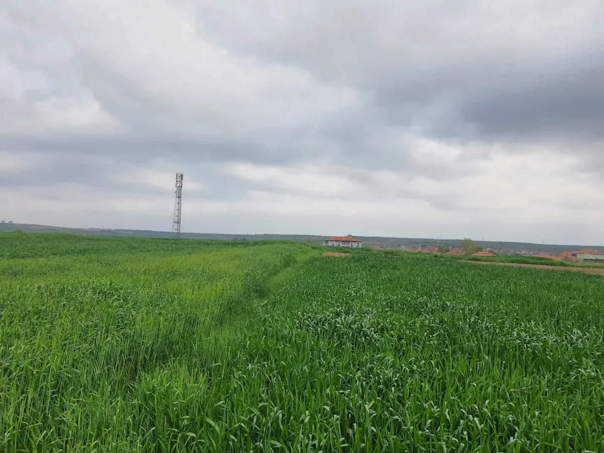 Edirne Meriç Subaşında 1.297 M2 Tek Tapu Satılık Tarla - Büyük 16
