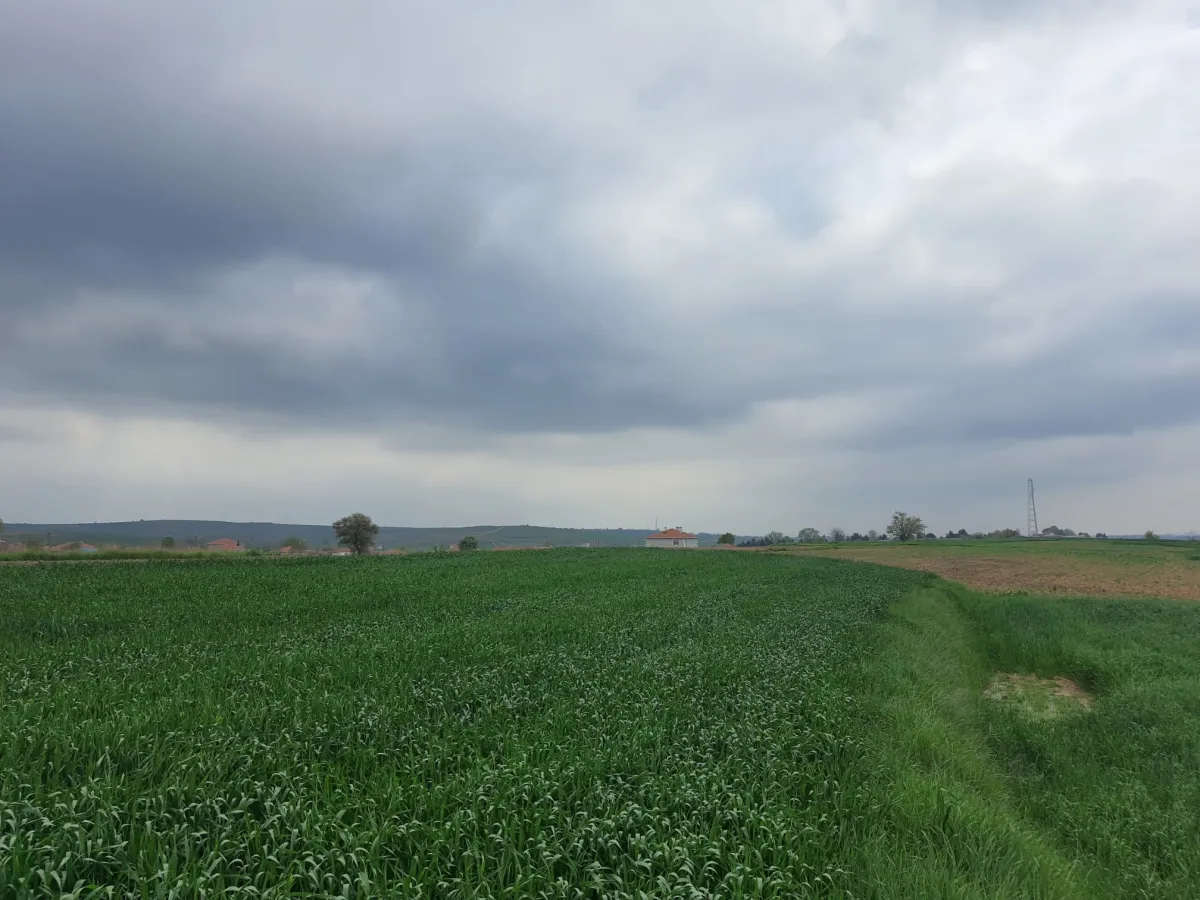 Edirne Meriç Subaşında 1.297 M2 Tek Tapu Satılık Tarla - Büyük 18