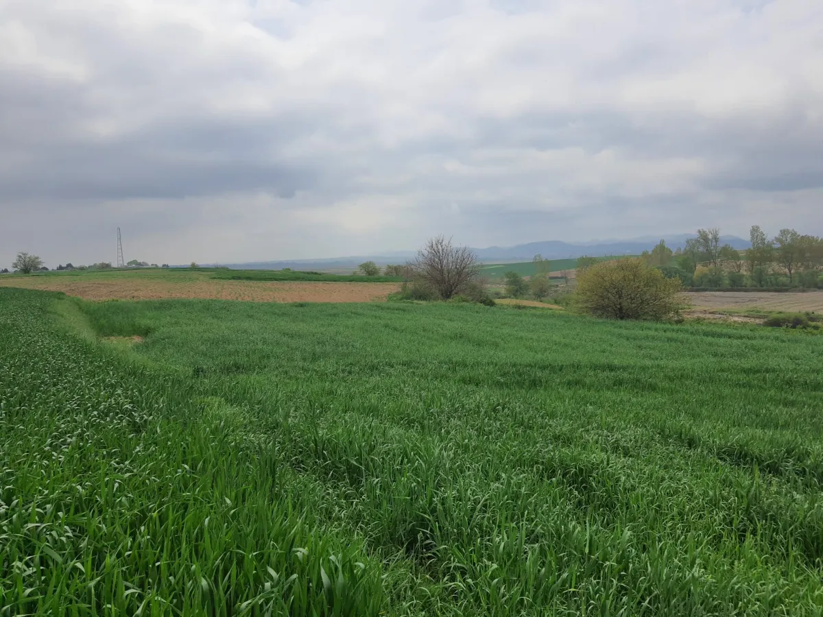 Edirne Meriç Subaşında 1.297 M2 Tek Tapu Satılık Tarla - Büyük 20