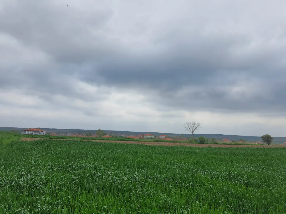 Edirne Meriç Subaşında 1.297 M2 Tek Tapu Satılık Tarla - Büyük 25