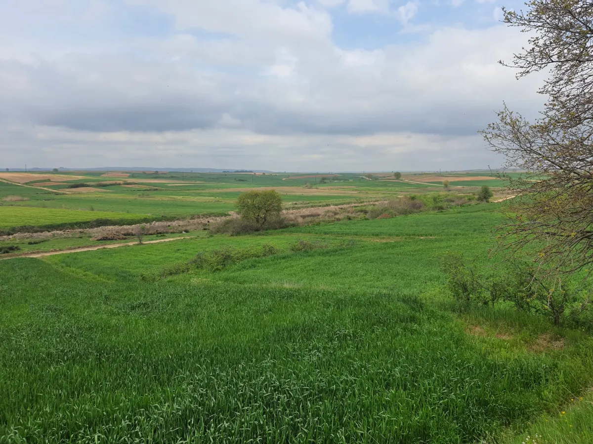 Edirne Meriç Subaşında 1.297 M2 Tek Tapu Satılık Tarla - Büyük 7