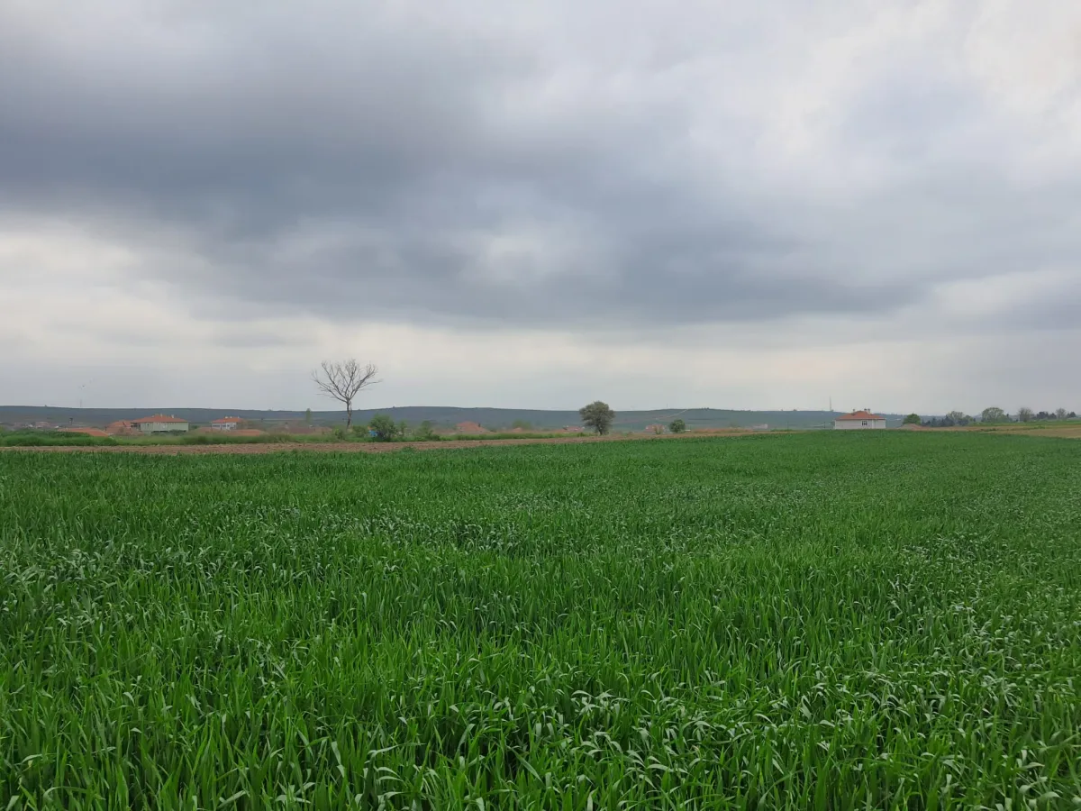 Edirne Meriç Subaşında 1.297 M2 Tek Tapu Satılık Tarla - Büyük 13