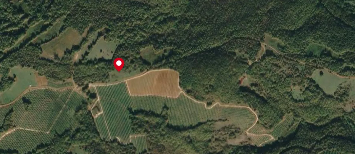 kırklareli babaeski avcılar satılık tarla