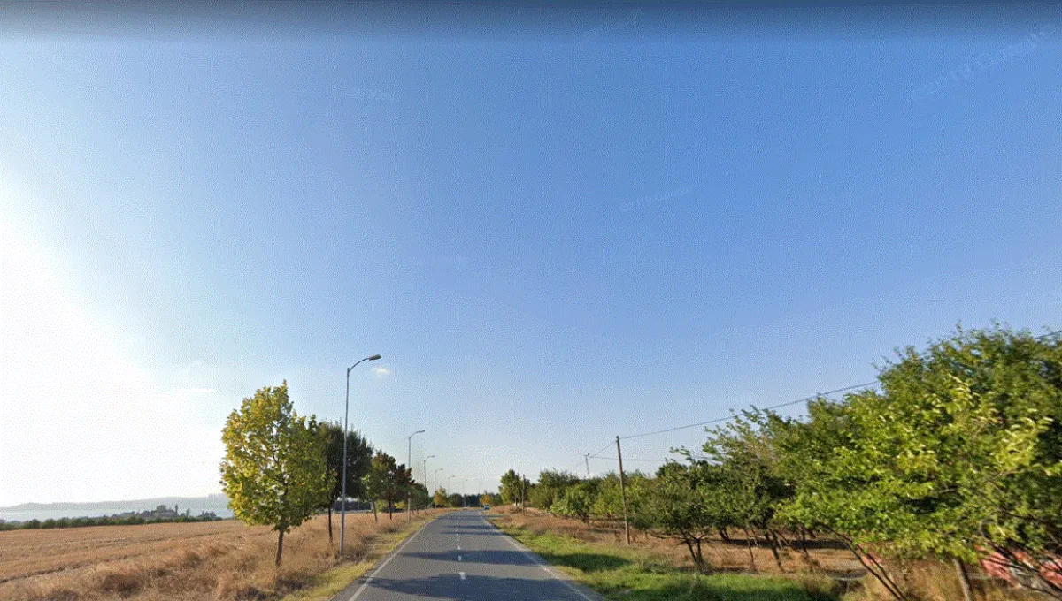 Silivri Fener Mh Satılık Tarla