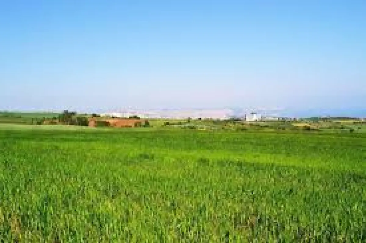 ÇERKEZKÖY KIZILPINARDA SATILIK 3.000 M² TARLA