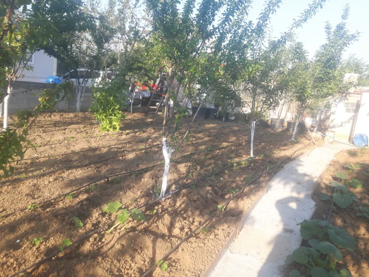 Yeniçiftlikte Satılık Bağ Yeri + Prefabrik - Büyük 4