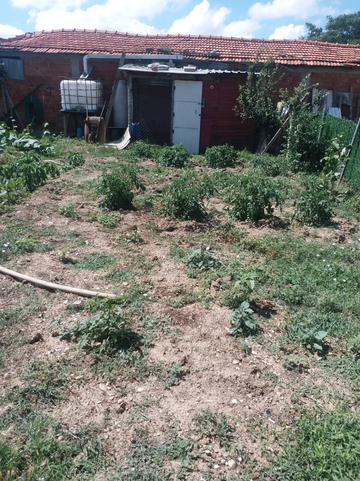 Değirmenköyde Satılık Tarla ve Satılık Prefabrik - Büyük 3