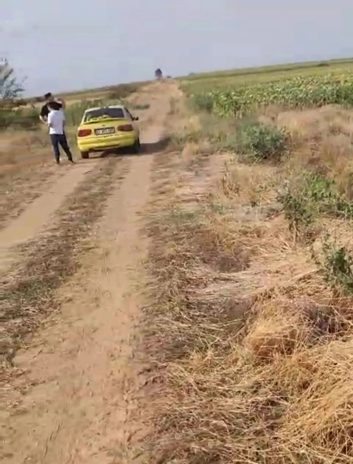 Tek Tapu Kadastrol Yola Cephe 3339 m2 Satılık Tarla