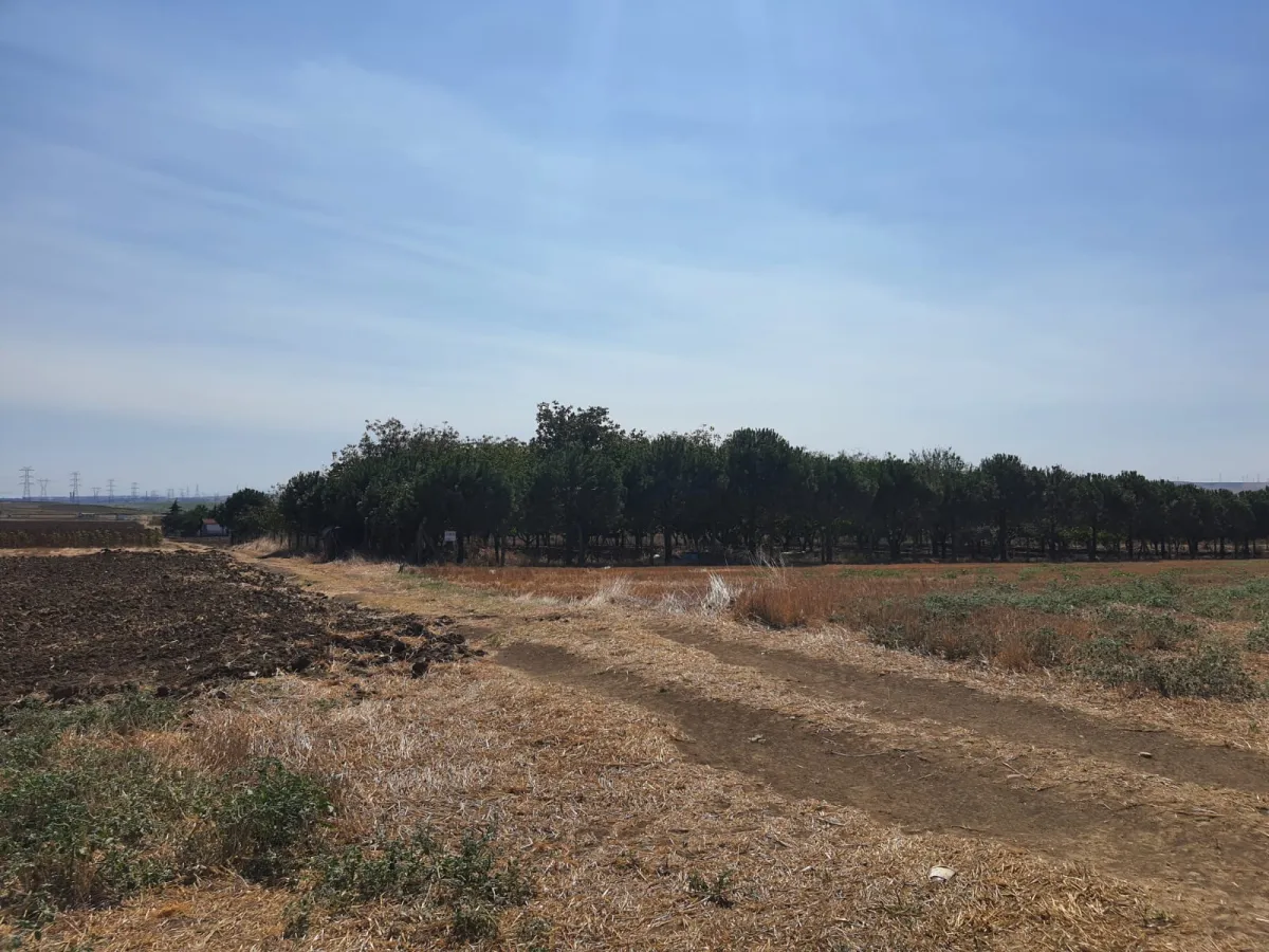 SİLİVRİ GÜMÜŞYAKADA 6759 M2 CEVİZ BAHÇESİ - Büyük 2