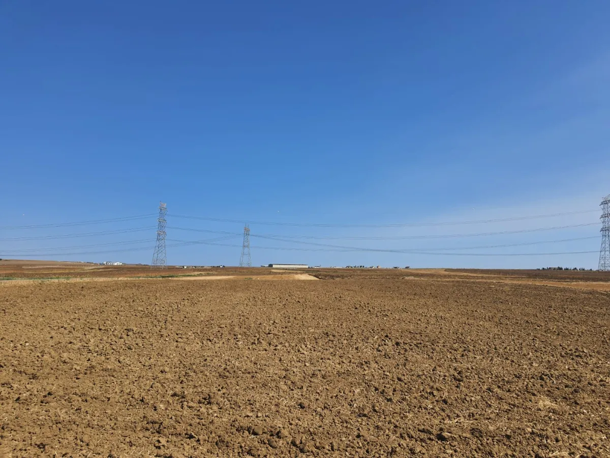 SİLİVRİ GÜMÜŞYAKADA 6759 M2 CEVİZ BAHÇESİ - Büyük 3