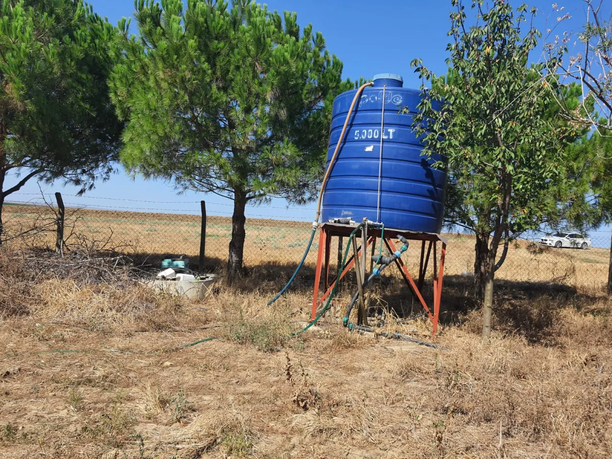 SİLİVRİ GÜMÜŞYAKADA 6759 M2 CEVİZ BAHÇESİ - Büyük 9