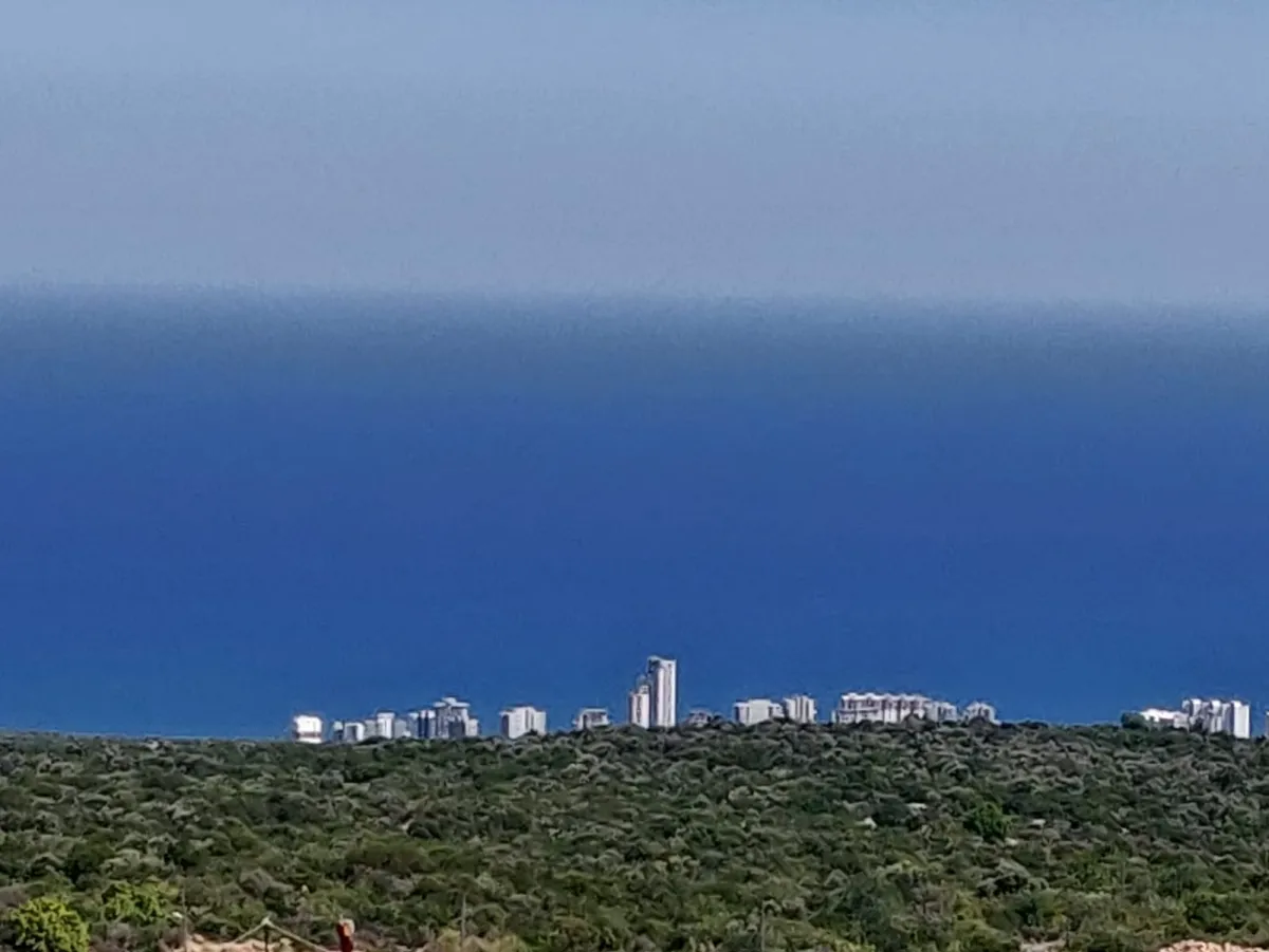MERSİN ERDEMLİDE SATILIK  11.109 M² TARLA - Büyük 1