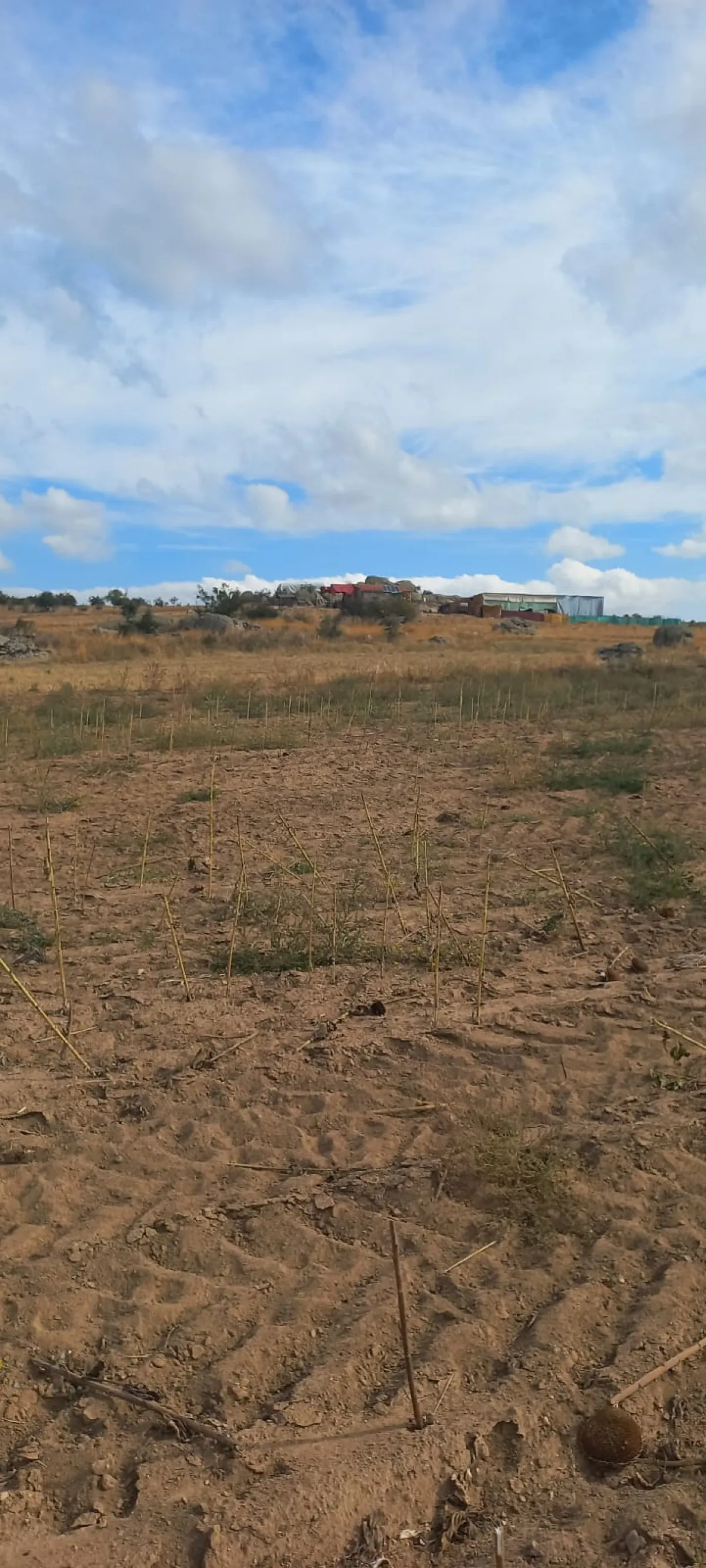 Edirne Süloğlu Tatarlar Köyü'nde Satılık 9.739m2 Tarla