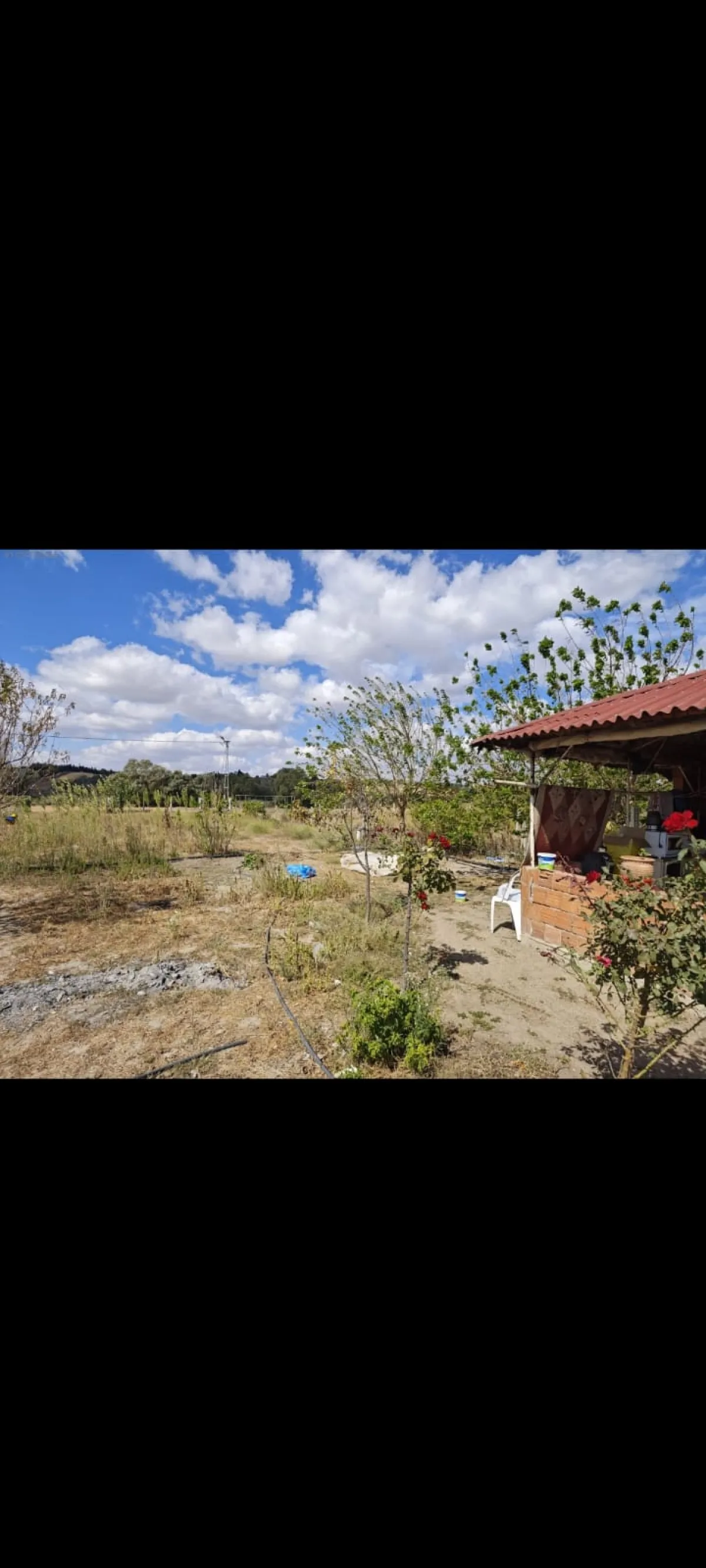 Silivri Çeltikte Satılık Çiftlik - Büyük 1