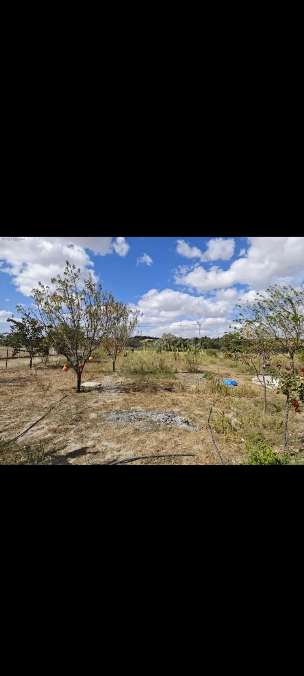 Silivri Çeltikte Satılık Çiftlik - Büyük 2