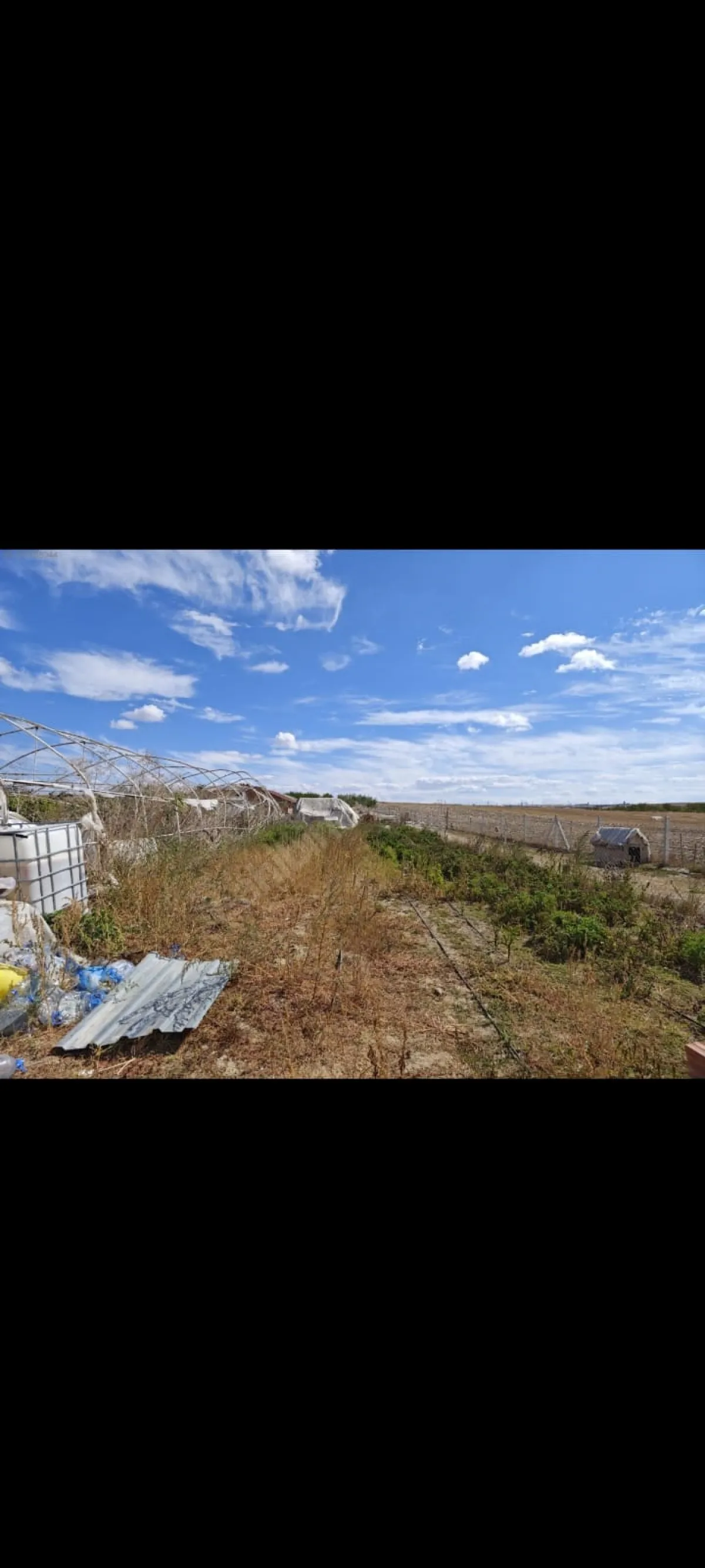 Silivri Çeltikte Satılık Çiftlik - Büyük 5