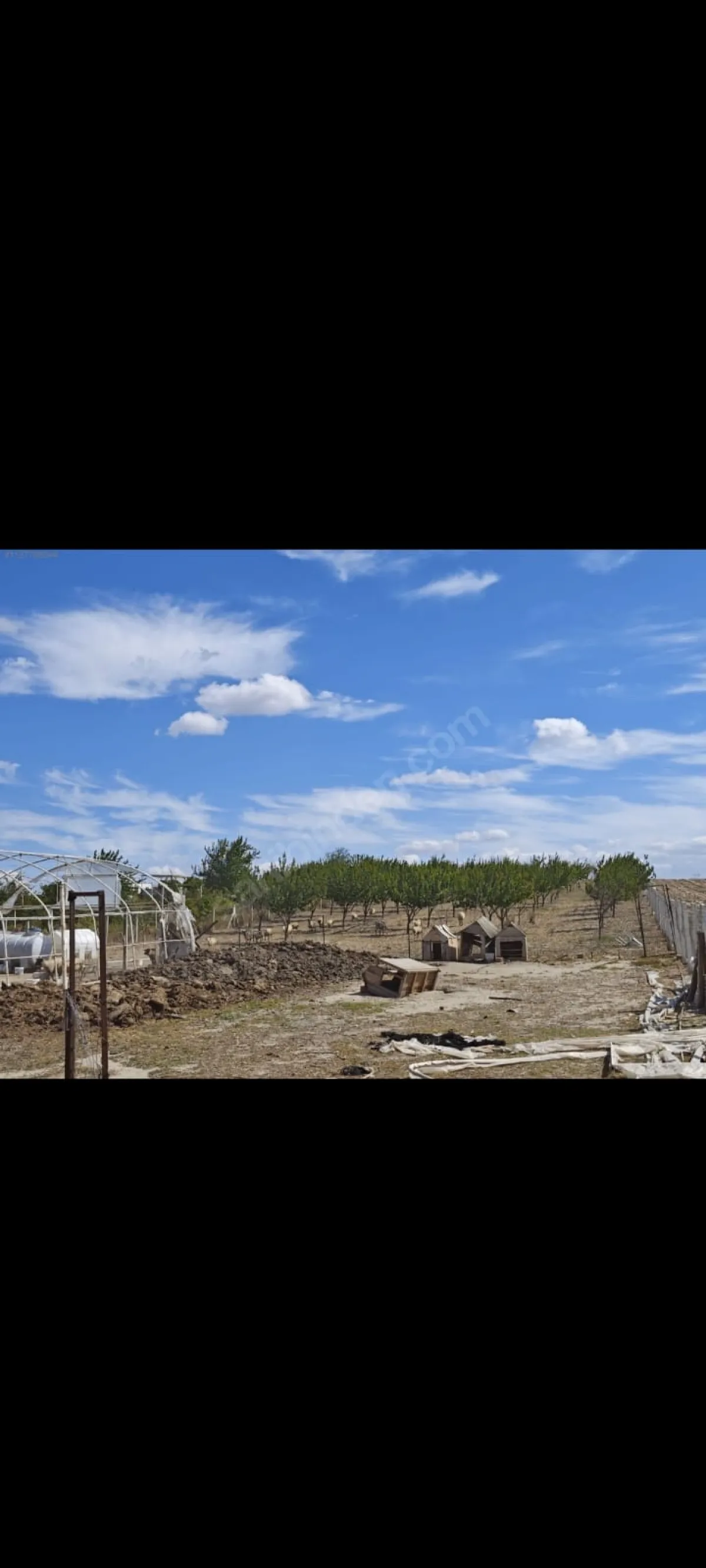 Silivri Çeltikte Satılık Çiftlik - Büyük 6