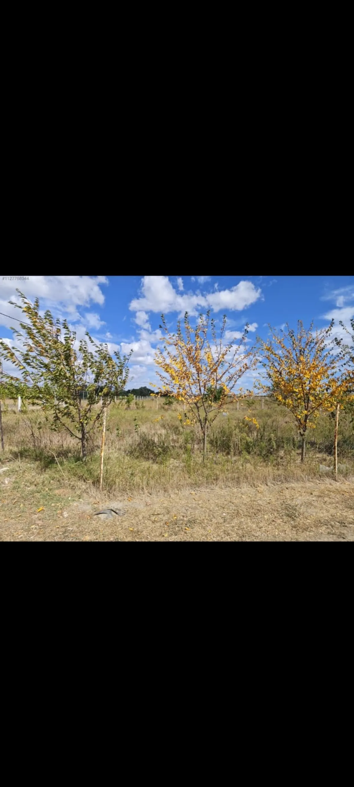 Silivri Çeltikte Satılık Çiftlik - Büyük 8