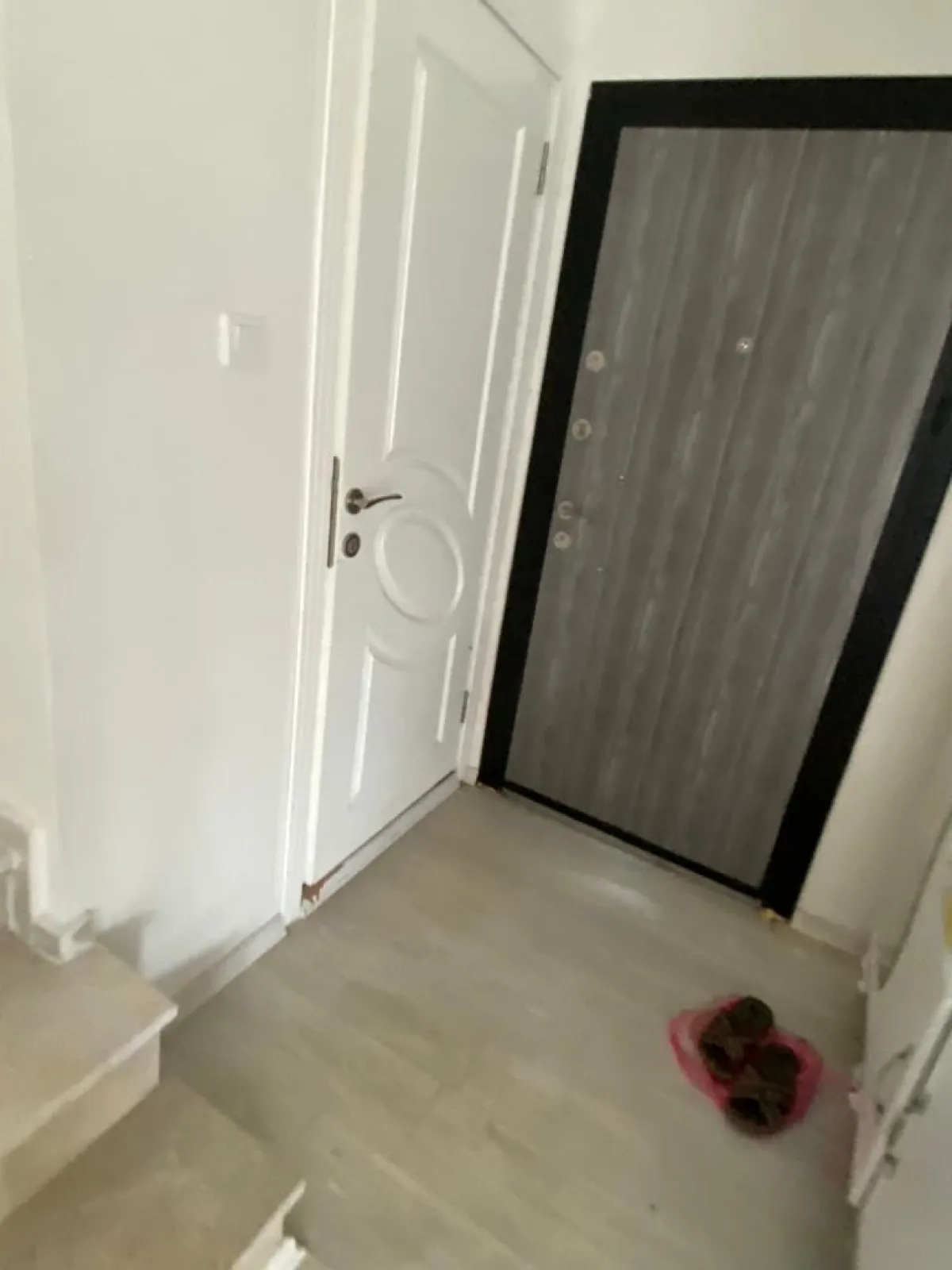 Çatalca BinKılıçta Satılık Villa - Büyük 2