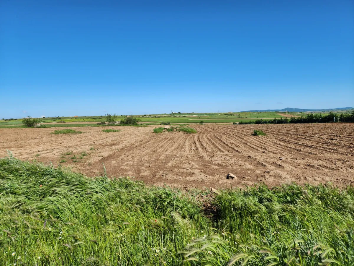 Süloğlu Tatarlar 'da Çiftliğe Uygun 6095m2 Tarla - Büyük 8