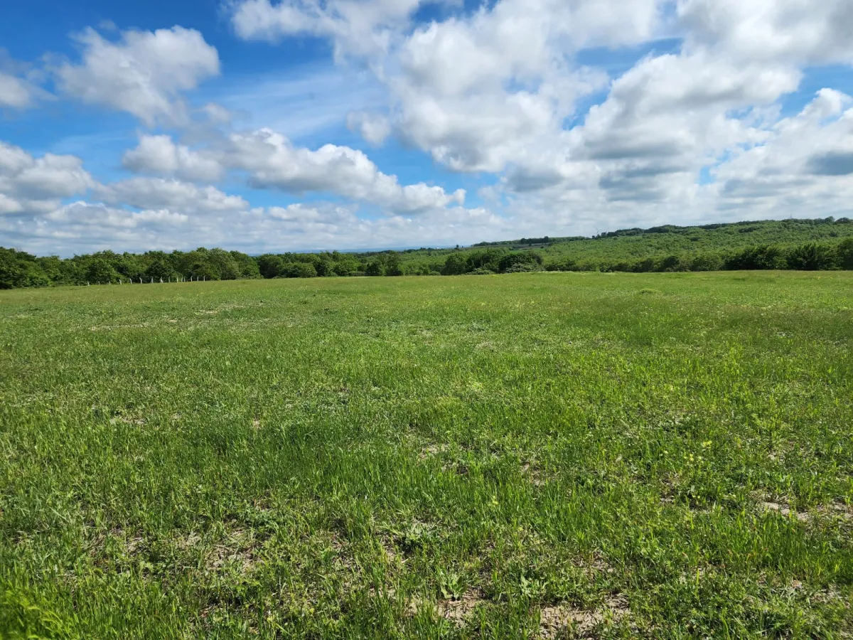 SİLİVRİ ÇAYIRDEREDE 3664 m2 ARAÇ VE DAİRE TAKASLI SATILIK TARLA - Büyük 6